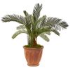 Cycas Artificial Plant in Orange Planter