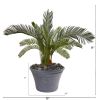 Cycas Artificial Plant in Gray Planter