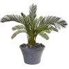 Cycas Artificial Plant in Gray Planter