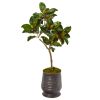 Magnolia Leaf Artificial Tree in Ribbed Metal Planter