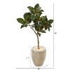 Magnolia Leaf Artificial Tree in Sand Colo Red Planter