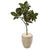 Magnolia Leaf Artificial Tree in Sand Colo Red Planter