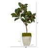 Magnolia Leaf Artificial Tree in Country White Planter