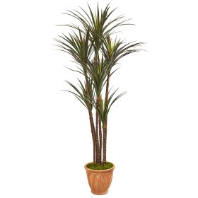 Giant Yucca Tree in Terracotta Planter UV Res (Ind/Outr)