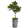Magnolia Leaf Artificial Tree in Vintage Metal Planter