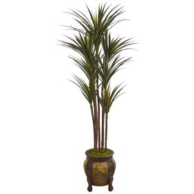 Giant Yucca Tree in Decorative Planter