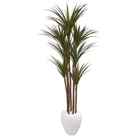 Giant Yucca Tree in White Planter UV Resistant