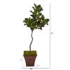 Magnolia Artificial Tree in Decorative Planter