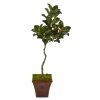 Magnolia Artificial Tree in Decorative Planter