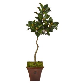 Magnolia Artificial Tree in Decorative Planter