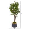Fig Artificial Tree in Planter with Brass Trimming