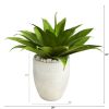 Agave Succulent Artificial Plant in White Planter