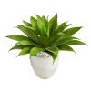 Agave Succulent Artificial Plant in White Planter