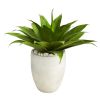 Agave Succulent Artificial Plant in White Planter