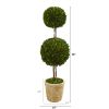 Preserved Boxwood Double Ball Topiary Tree in Planter