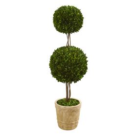 Preserved Boxwood Double Ball Topiary Tree in Planter