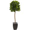 Fiddle Leaf Tree in Black Planter (Real Touch)