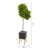 Fiddle Leaf Tree in Planter with Stand (Real Touch)