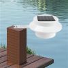 Solar LED Pathway Light