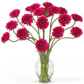 Gerber Daisy Liquid Illusion (Color: Beauty)