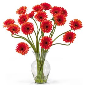 Gerber Daisy Liquid Illusion (Color: Orange)