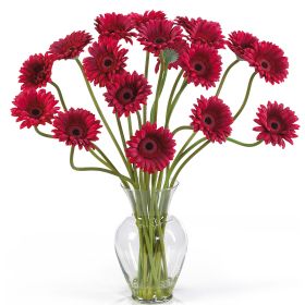 Gerber Daisy Liquid Illusion (Color: Red)