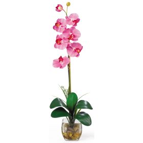 Single Phalaenopsis Liquid Illusion (Color: Dark Pink)