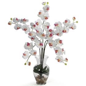 Five Stem Phalaenopsis Liquid Illusion (Color: White)