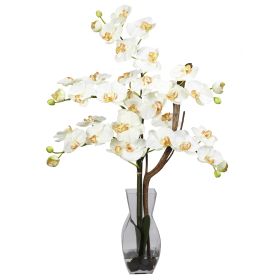 Phalaenopsis w/Vase Silk Flower Arrangement (Color: Cream)