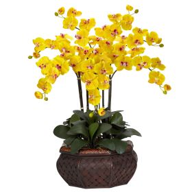 Large Phalaenopsis Arrangement (Color: Yellow, size: 30")