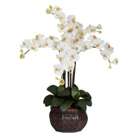 Phalaenopsis w/Decorative Vase Arrangement (Color: Cream, size: 31")