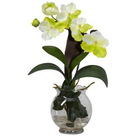 Mini Vanda w/Fluted Vase Silk Flower Arrangement (Color: White)