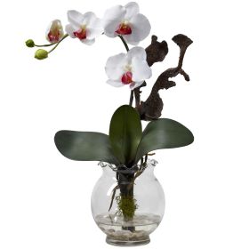 Mini Phalaenopsis w/Fluted Vase Arrangement (Color: White)