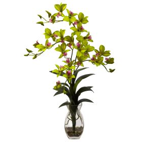 Dendrobium Orchid w/Vase Arrangement (Color: Green)