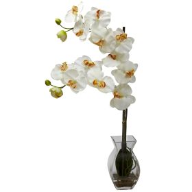 Phalaenopsis Orchid w/Vase Arrangement (Color: Cream)