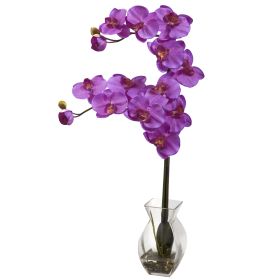 Phalaenopsis Orchid w/Vase Arrangement (Color: Orchid)