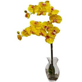 Phalaenopsis Orchid w/Vase Arrangement (Color: Yellow)