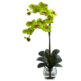 Double Phal Orchid w/Vase Arrangement (Color: Green)