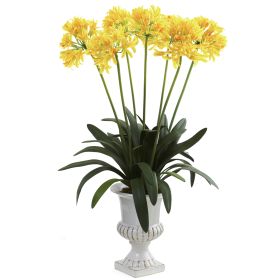 African Lily w/Urn (Color: Yellow)