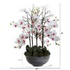 Giant Phalaenopsis Orchid Arrangement in Cement bowl