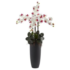Phalaenopsis Orchid Arrangement with Bullet Plnter (Color: White, size: 41")