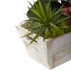 Seasonal Orchid & Succulent Garden w/White Wash Planter