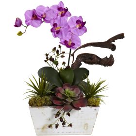 Orchid & Succulent Garden with White Wash Planter (Color: Mauve, size: 21")