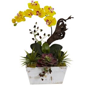 Orchid & Succulent Garden with White Wash Planter (Color: Yellow, size: 21")