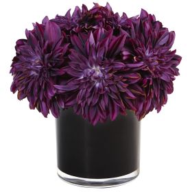 Dahlia Mum in Black Glossy Cylinder (Color: Purple, size: 11")