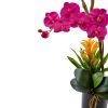 Orchid and Bromeliad in Glossy Black Cylinder