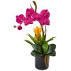 Orchid and Bromeliad in Glossy Black Cylinder