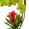Orchid and Bromeliad in Glossy Black Cylinder
