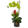 Orchid and Bromeliad in Glossy Black Cylinder