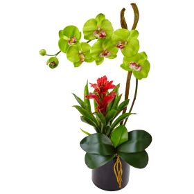 Orchid and Bromeliad in Glossy Black Cylinder (Color: Green, size: 26")